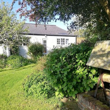 Cozy Country Cottage With Beautiful Rural Views New Quay Kültér fotó