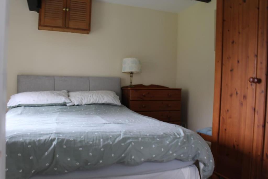 Cozy Country Cottage With Beautiful Rural Views New Quay Kültér fotó