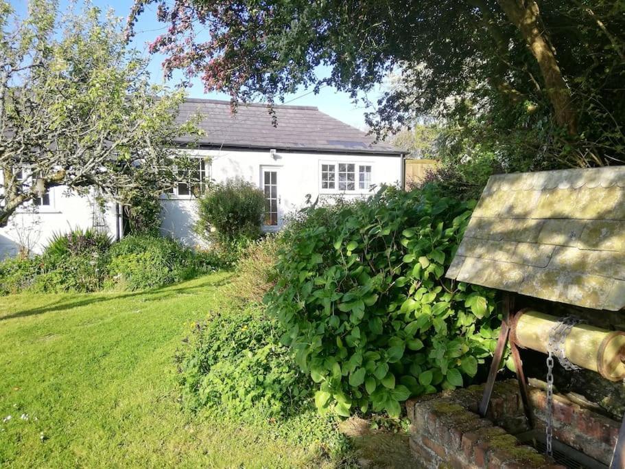 Cozy Country Cottage With Beautiful Rural Views New Quay Kültér fotó