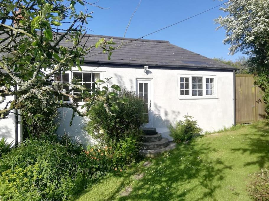 Cozy Country Cottage With Beautiful Rural Views New Quay Kültér fotó